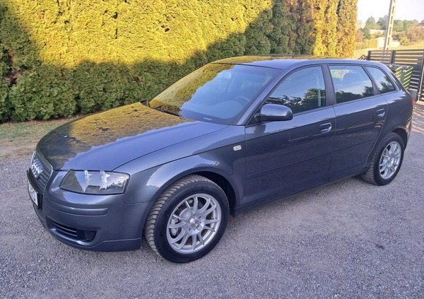 Audi A3 cena 19900 przebieg: 190000, rok produkcji 2005 z Myszków małe 436